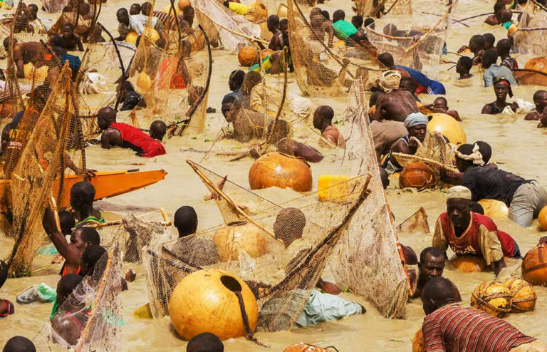 Argungu Fishing Cultural Festival